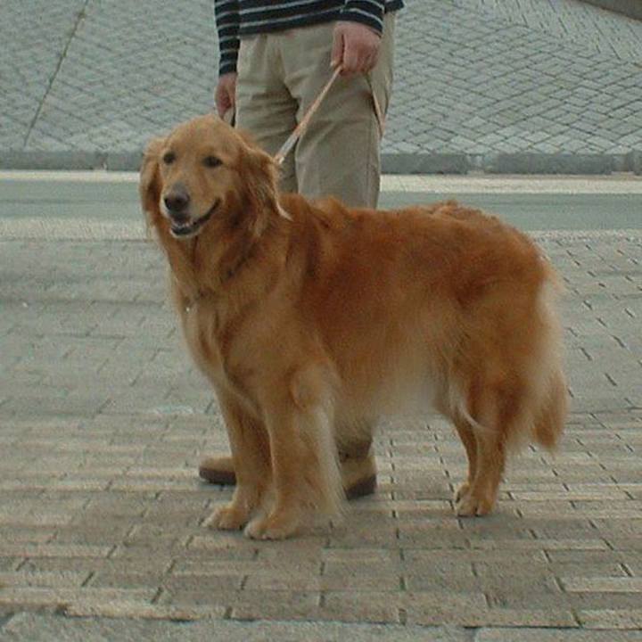 F87b00a5 3a2f 4a8d 8b7f fc93c11f61bf 1528117702312