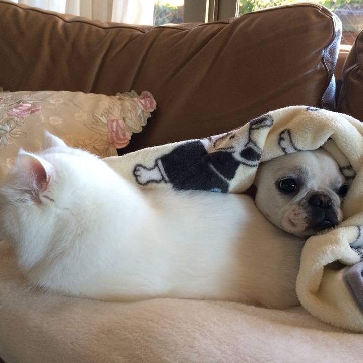 F87b41fd b395 47ba bc5d 4a9964b23a8c 1597589424842