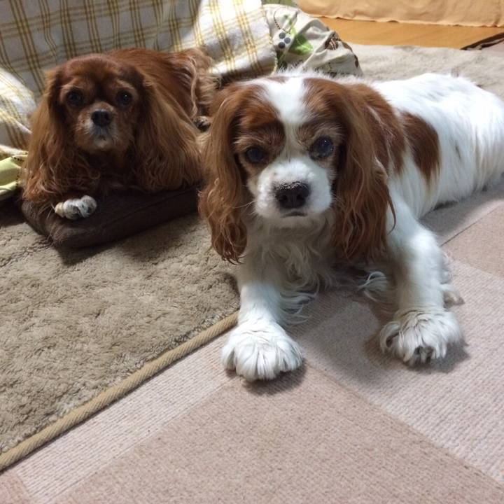 F87b43eb 7c69 4b33 b0ab bfe636cd1c25 1510630979701