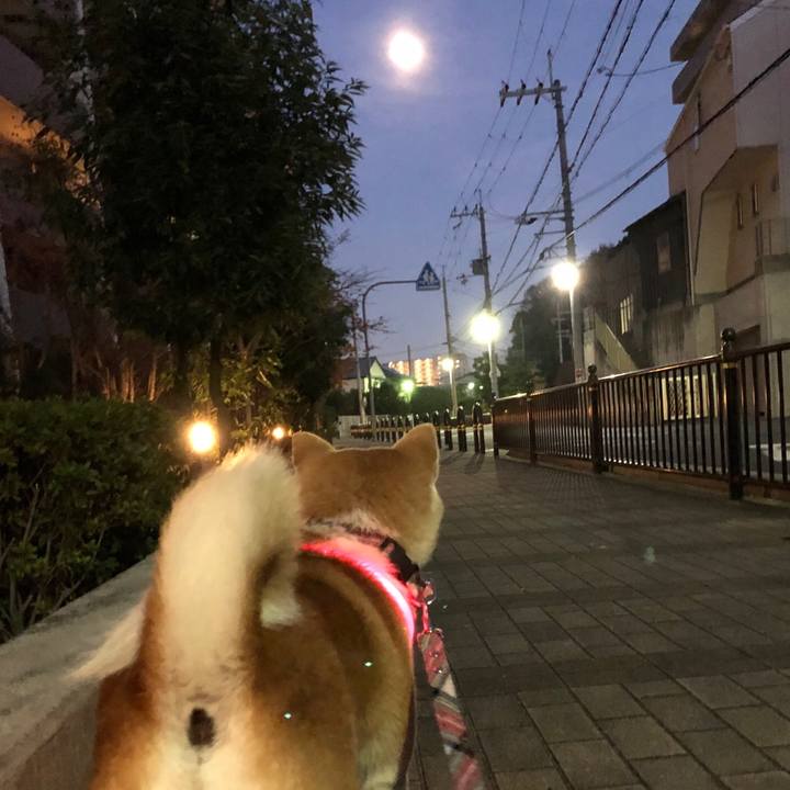 F87b4f1f af7c 452e 92b0 e8da78a0e3b2 1575979200407