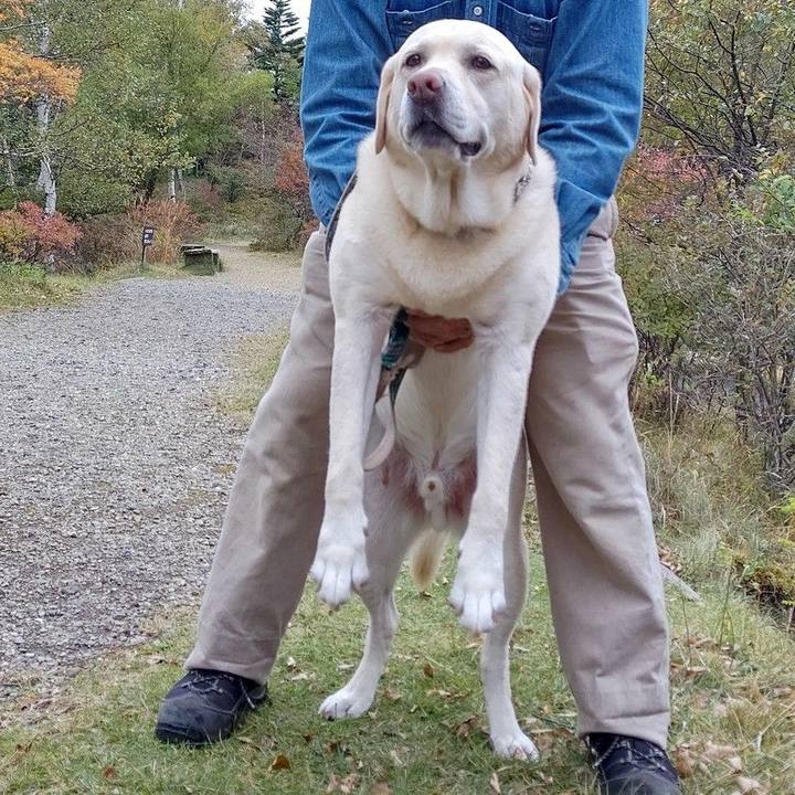 F87b65f1 7690 4968 a593 b77e3858c112 1665663575251