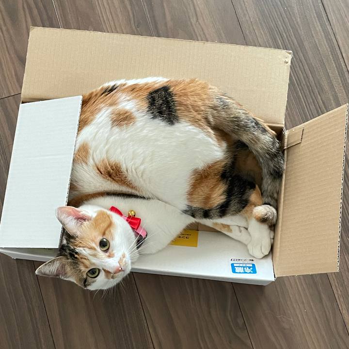 F87b93d3 2a13 430c a2b4 32ef03d3bf00 1615248841124