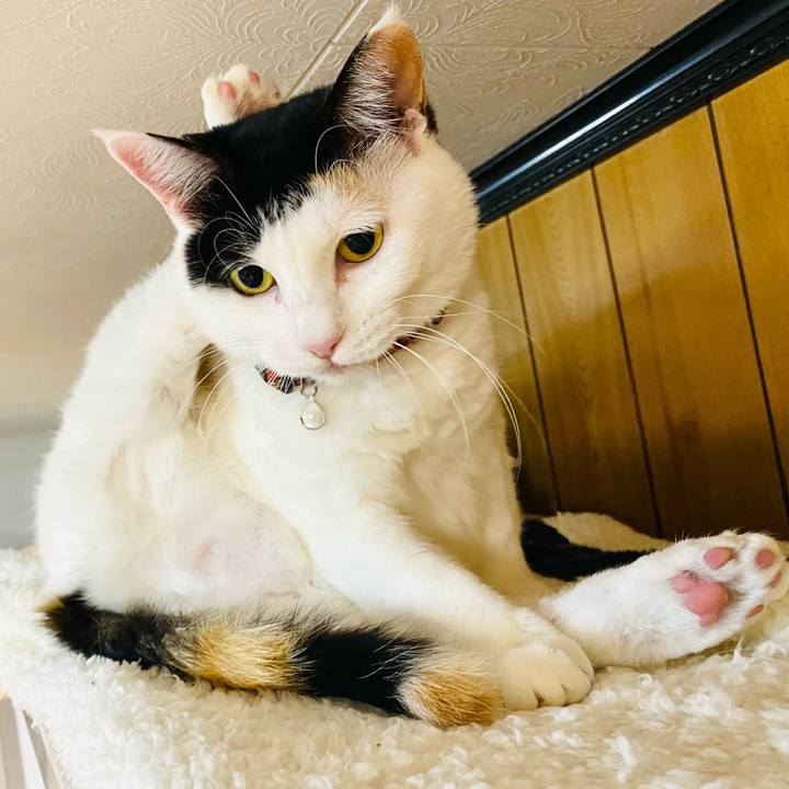 F87b9fa7 5f2c 4970 a7b3 d08b19275b85 1672283955231