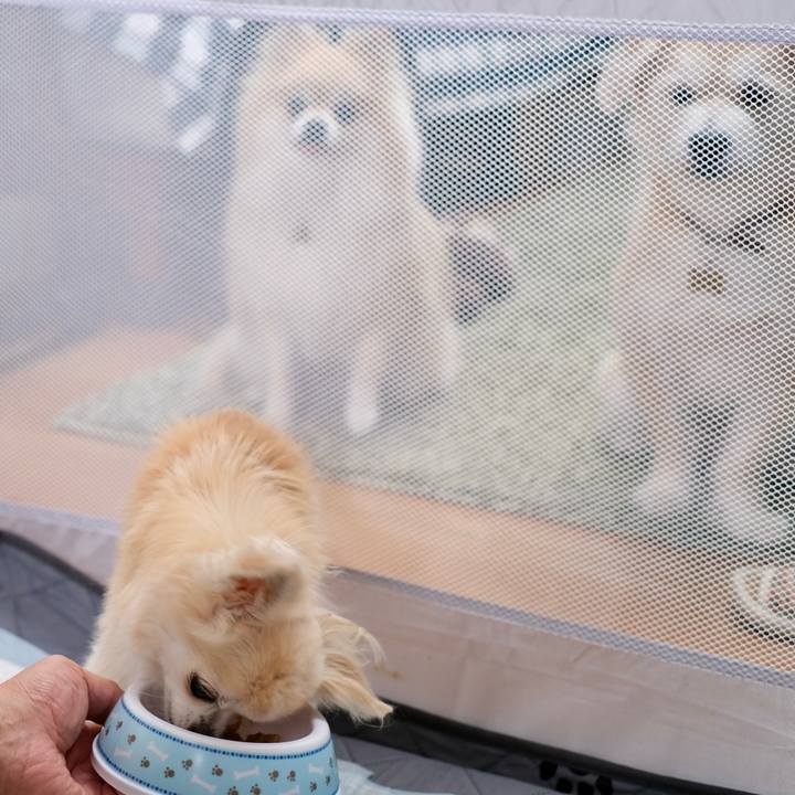 F87bba73 5567 4f43 9f26 b28a80b9be26 1766999035377