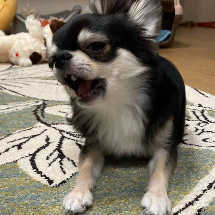 F87bcef6 8721 4d8c a1f0 a82693e588ce 1620048980826