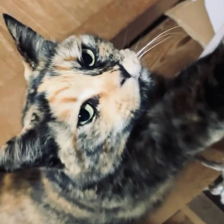 F87c23cb f3f9 4c56 9e2b aa4d00404808 1742262811508