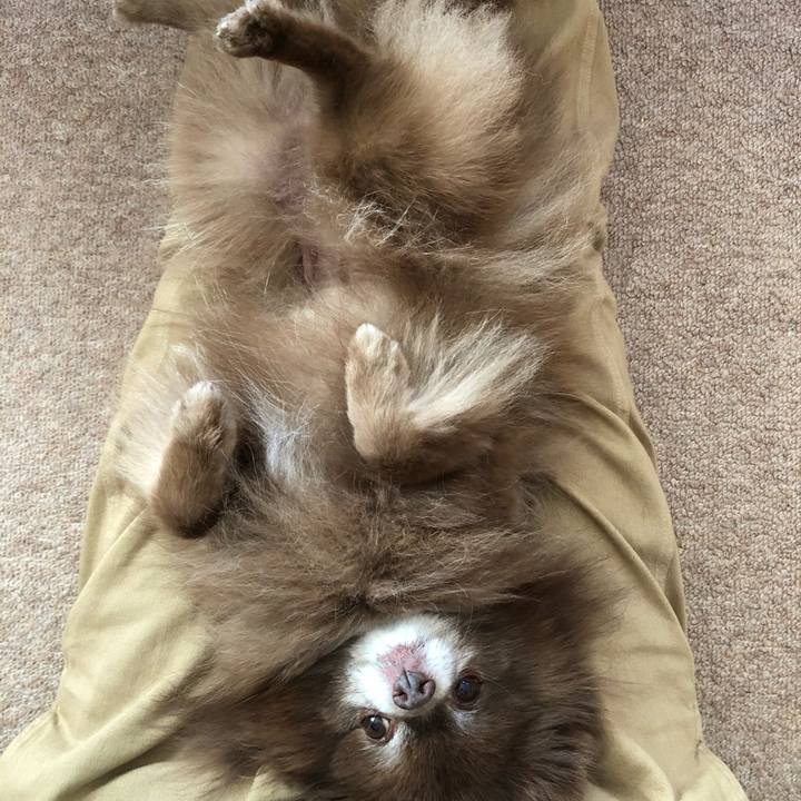 F87c4ba1 3e65 4887 8c55 3c21892f252c 1615077579807