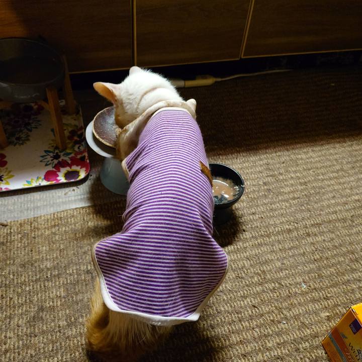 F87c5bd4 0ae9 4f96 aee0 ca2af1fccbf8 1774010498188