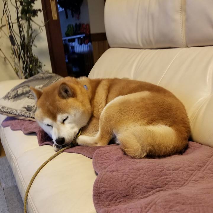 F87c79c4 c7ad 4325 933f 5eb3943c6340 1621122680461