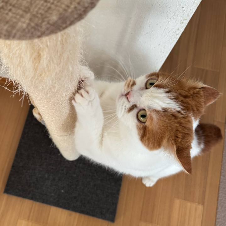 F87c8690 6bb5 473e 8df2 3f8737eac9b9 1769825350177