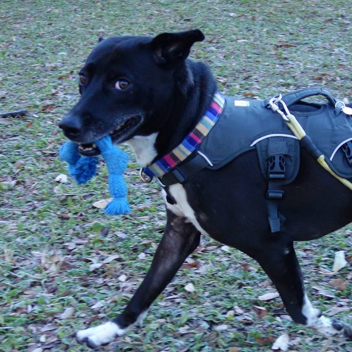 F87c9262 d377 451b a463 be03c917a132 1638060666386