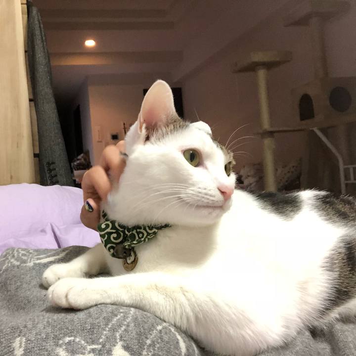 F87d0085 6771 47f3 8af9 a7d4e6259874 1541682844765