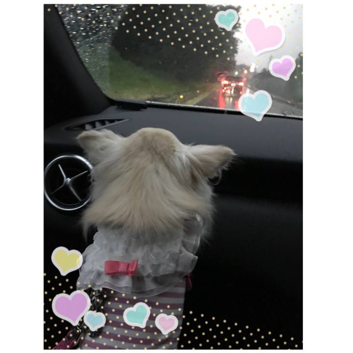 F87d5f2d 4614 46e1 af35 f7e0ad1b99df 1508857741641