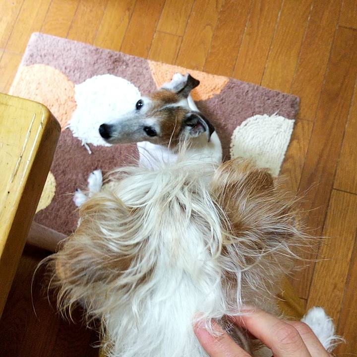 F87dae63 0f5c 4cd9 b1b9 933f1af1653f 1563066934009