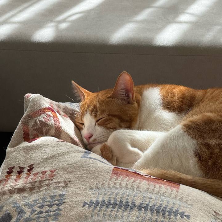 F87db60c 48a3 4bae acda fc6ff10ce1f6 1770815571892