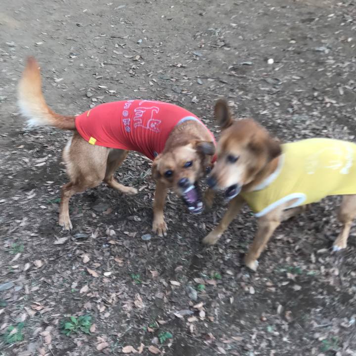 F87dc0de 6fa1 4881 a04f 921d08f55af9 1542791171236