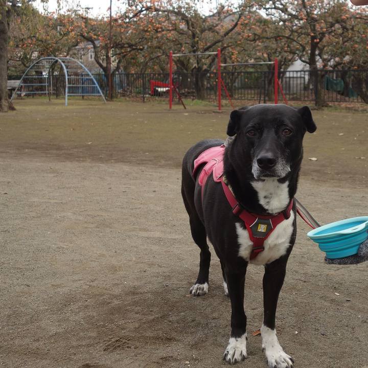 F87ddb8e 20b1 4a5a be8a a76aace7cce2 1700008871188