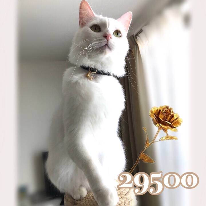 F87ddf38 efdc 4b35 bdd1 1e5fae97cebf 1574845585868