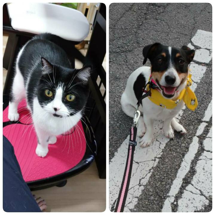 F87dfcbb 9394 4dbf 8f5e c37695c29fe6 1564741901257