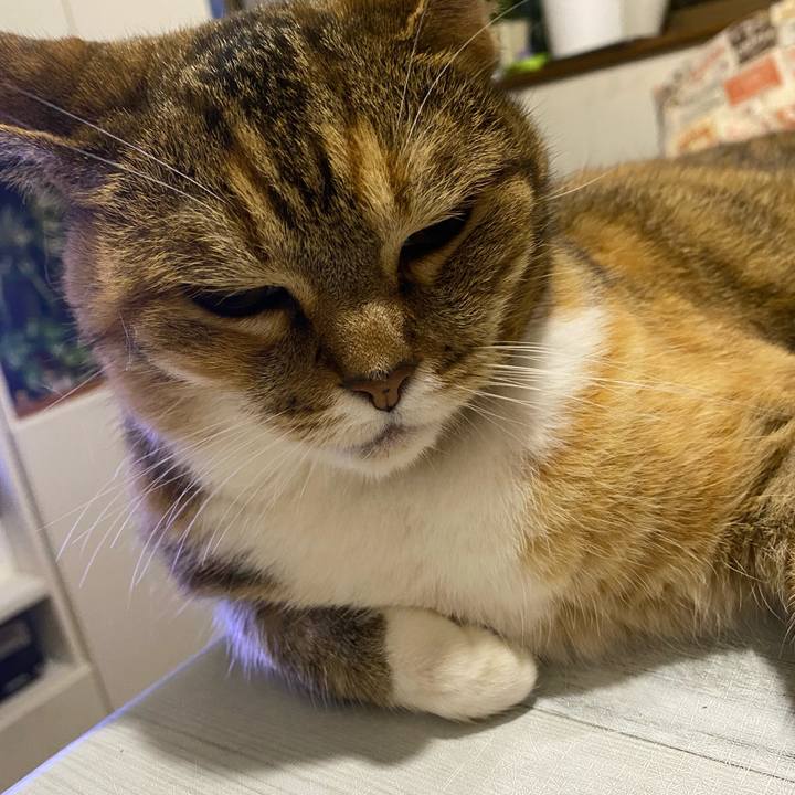 F87e4d72 ee0e 4cef 8bdb 967abafb6d0c 1658538362471