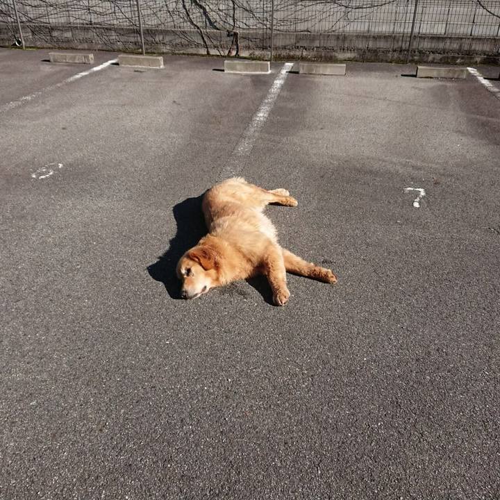 F87e73bb 814f 4e73 a218 84150bee3eb2 1638199480863