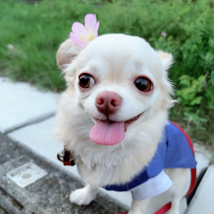 F87e7dbc 51d4 4e1a b91b 64107febaf59 1694597260002