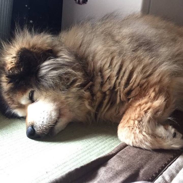 F87ea309 3089 42a0 9959 ecf9766a6fac 1549923700385