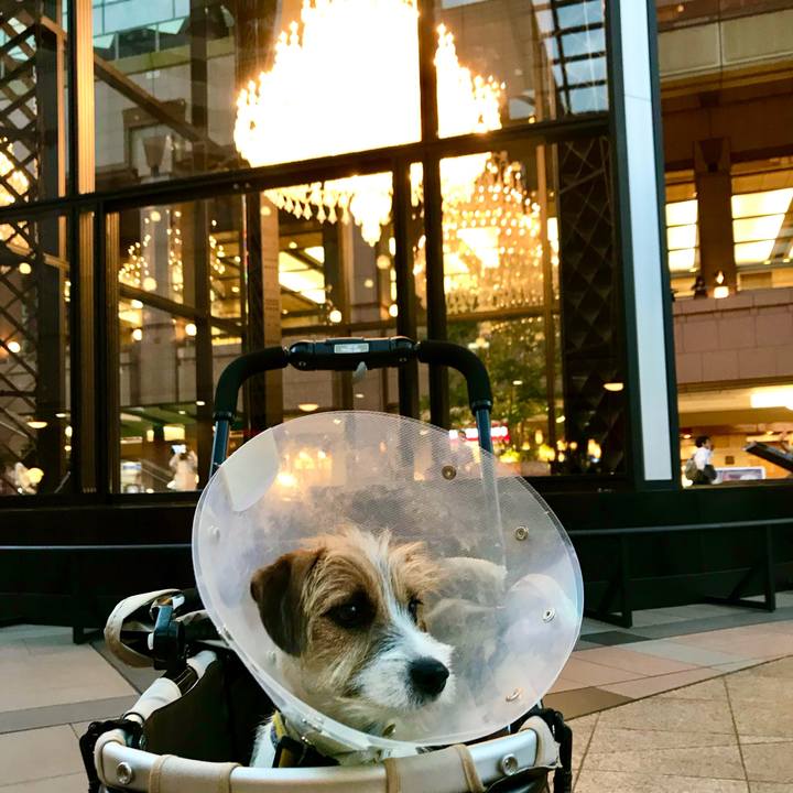 F87ec2fa 8ca9 4ac8 aae7 57c988eaff77 1762779165684