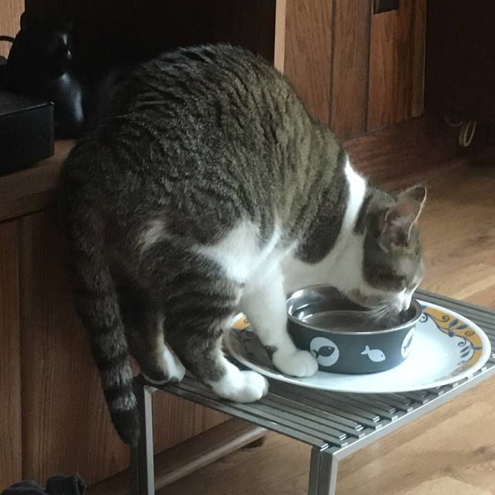 F87f0512 ba81 41a8 8995 dec26da49dee 1618178970468