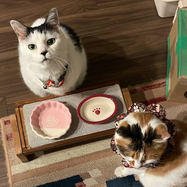 F87f28fe b834 4f95 8032 54e293897cd4 1766667467368