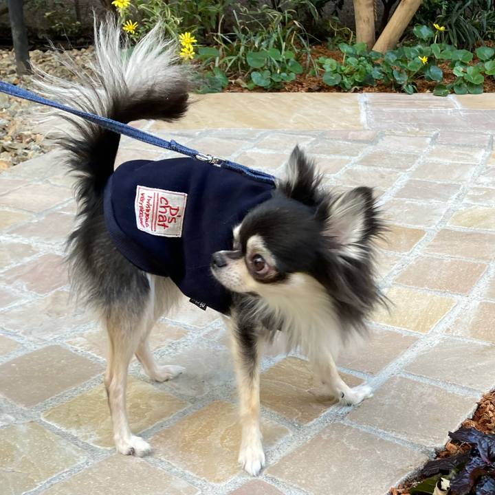 F87f2f20 c6a2 4640 b8b7 86021876f15b 1637651694175