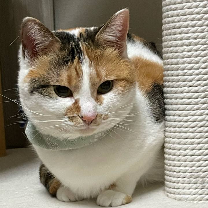 F87f3b25 6bad 4a03 a128 18946c0e2444 1675827668913