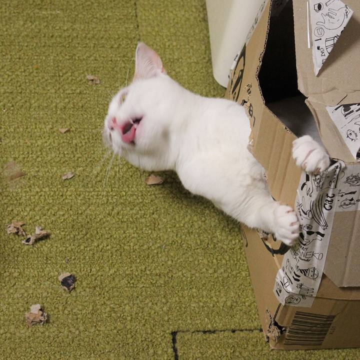 F87f3bcf 2e7c 410b 9fa4 6dbcb3ff9907 1598832698426