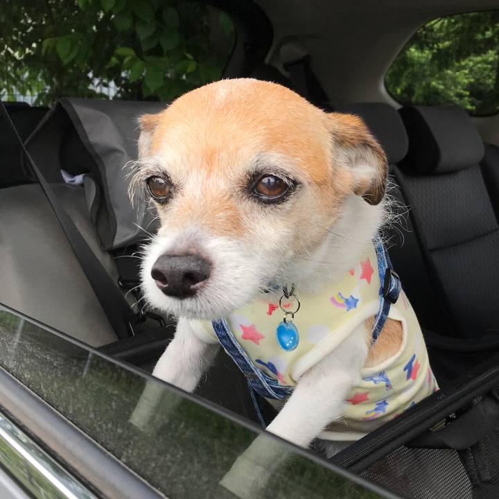 F87f4195 a2a2 4dfc 8a2d 06e30f2668aa 1623562205153