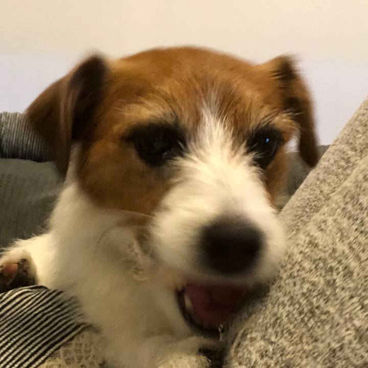 F87f8924 484d 4fee bd1f b1179525d84d 1588585763669