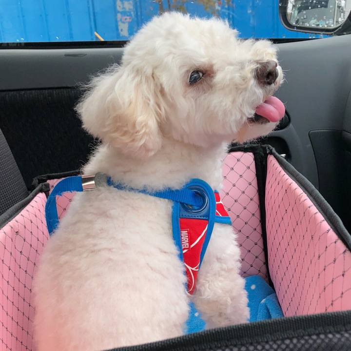 F87faf45 c560 4ad6 a01b b76ac7a1c70d 1539598763911