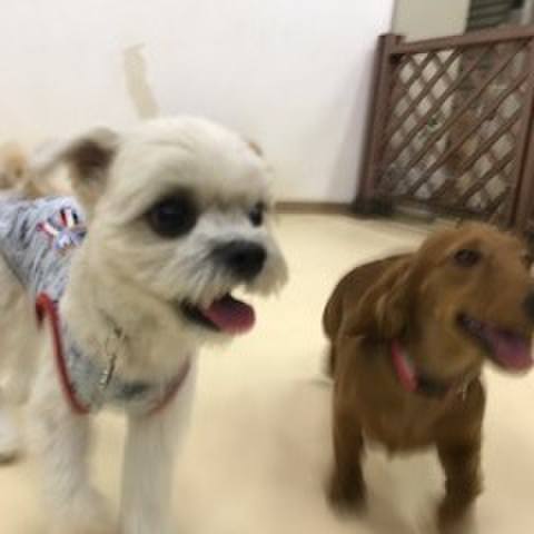 F87fd295 e931 43f0 9e3a cc4a3867e176 1511957343501