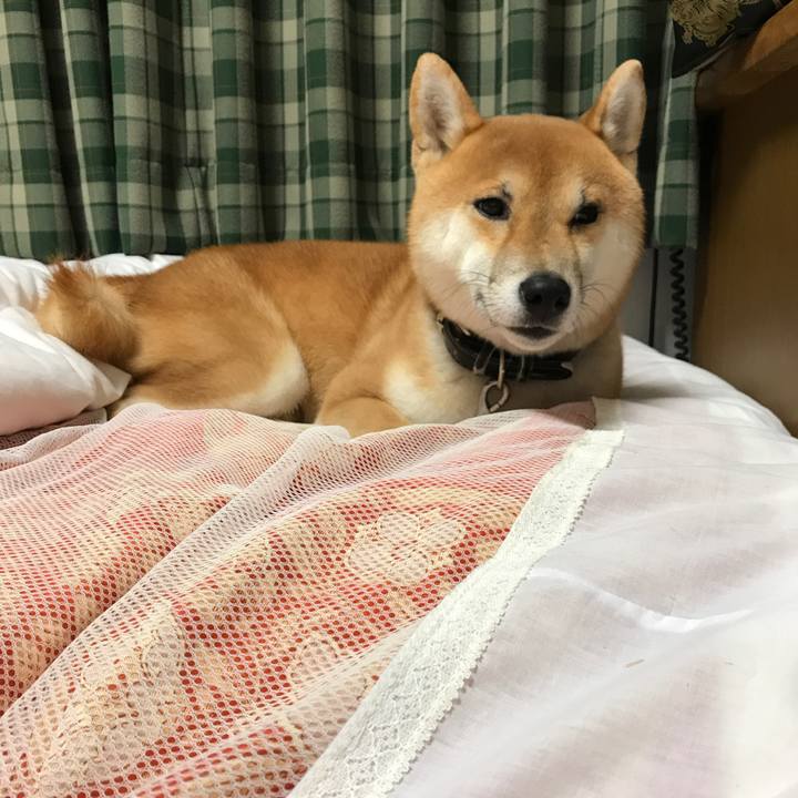 F8805b5d 916c 4f4f 927e 3cf5bedd1679 1515665430496