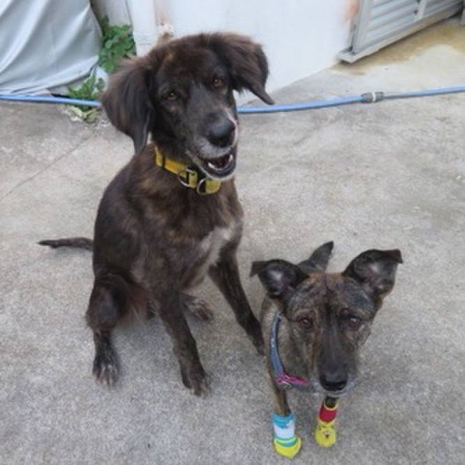 F8809d4c a081 493b af17 3755d3c3445c 1603724515712