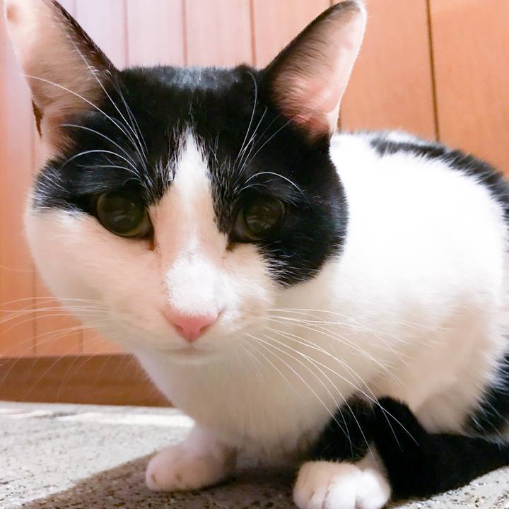 F880b089 7ccc 462c a030 19a9a23a4ca2 1514213233482