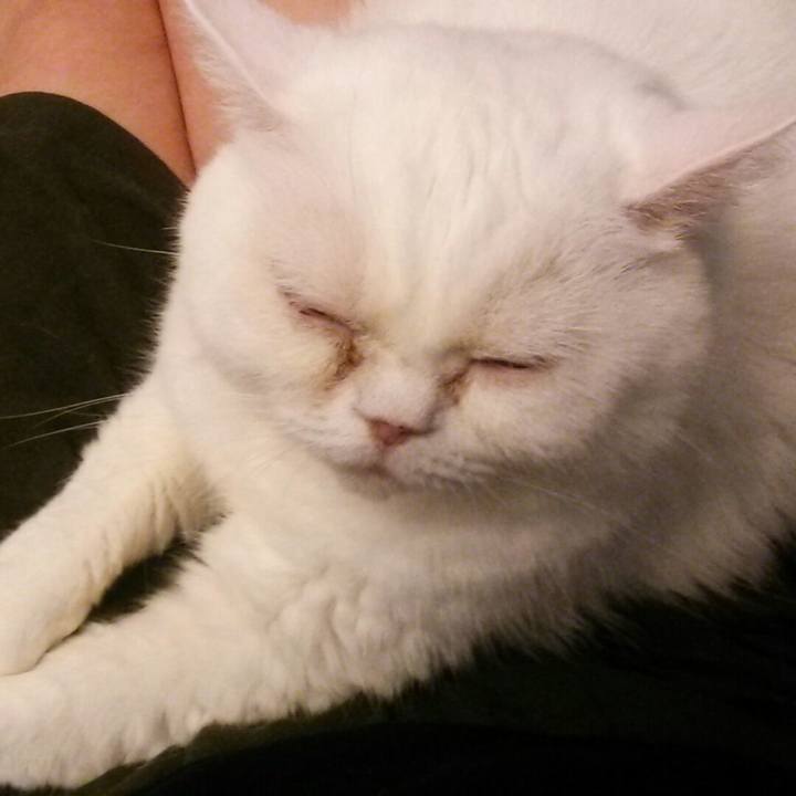 F880c923 1711 4877 ab7b 36f4bedf7095 1595138677517