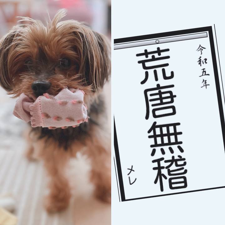 F880f458 03fe 4bdc bf7f 50ef26590c69 1672694941430