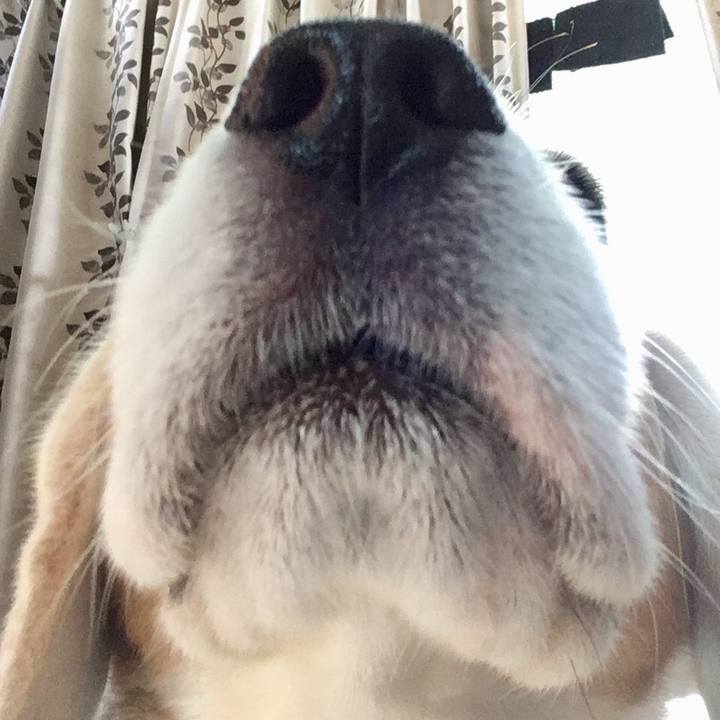 F881083d 8076 412d a8a3 19f1c9591bc7 1542523595953