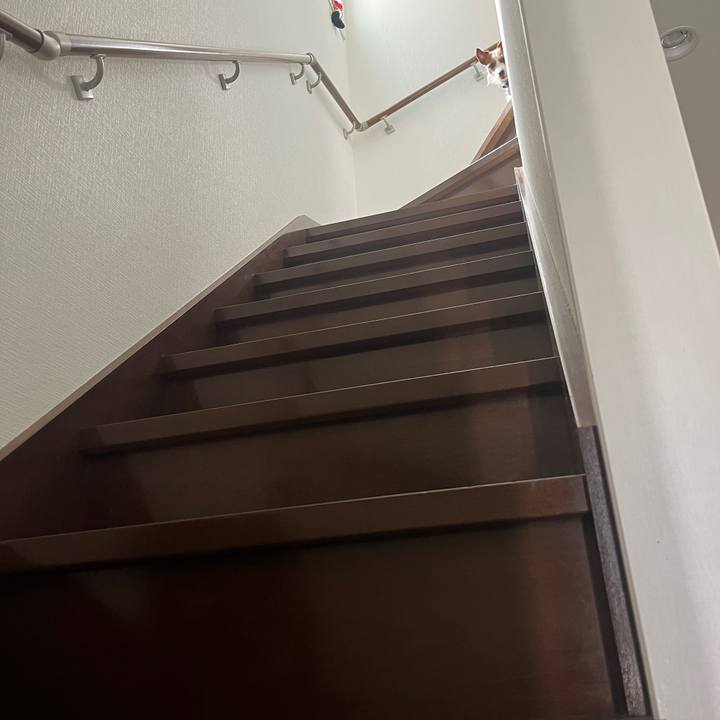 F881169c 70df 4360 8902 4663c64328e8 1776392373559