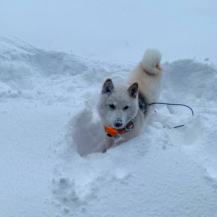 F8814865 7f25 486d aa14 0cbe4544850b 1640264436162