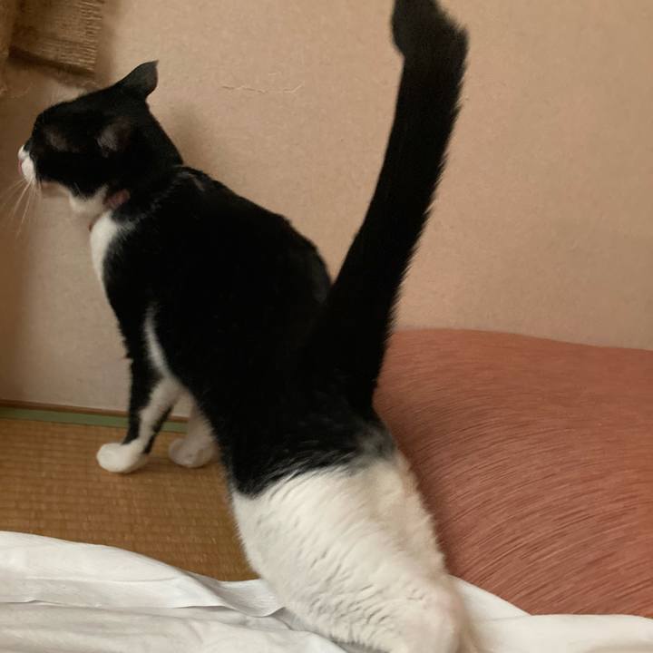 F88162a3 aa65 46b3 afe0 c125b160c461 1629685332791