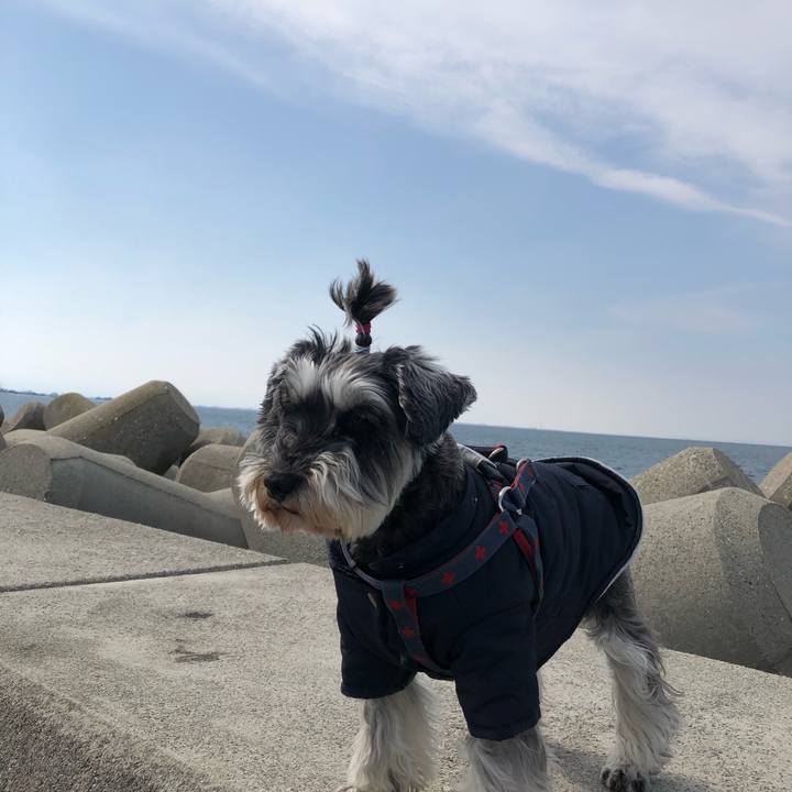 F8817f10 32c4 4eb3 82e4 965859d60a08 1645853299665