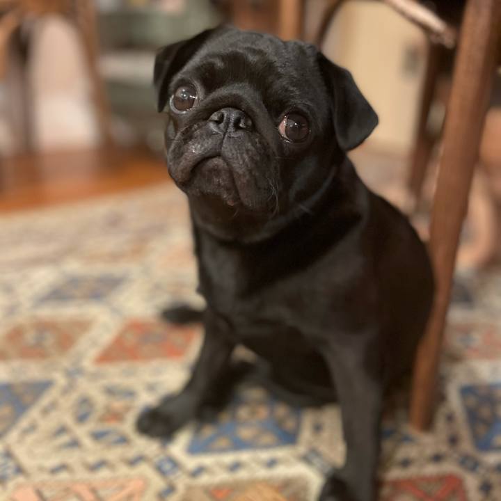 F881a43a 4e09 43b0 9eaf c568f52d3c90 1619180729233