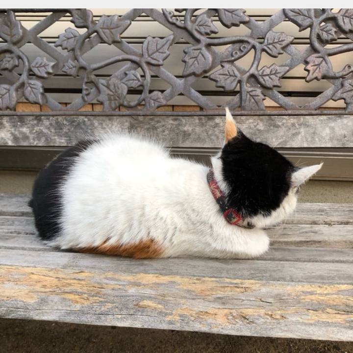 F881aa9b 1384 4ad0 9858 598cb45deb9f 1677420725654