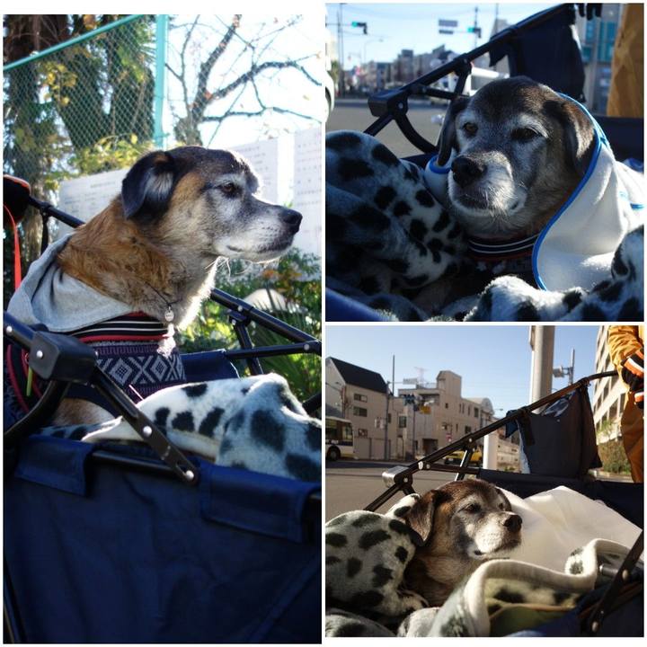 F881d690 be83 42f2 9110 1ba2726790da 1575769589086